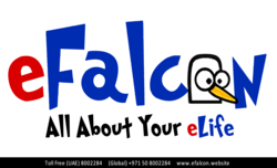 eFalcon Website Designing