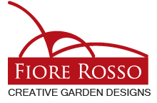 Fiore Rosso (Mushrif Mall)